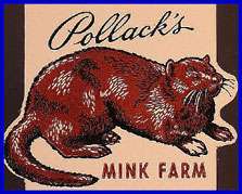 1950s Pollacks Mink Farm Contour Matchcover  Deer Lake (PA)  