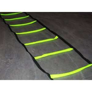  MDUSA 13 ft Indoor/Outdoor Agility Ladder 