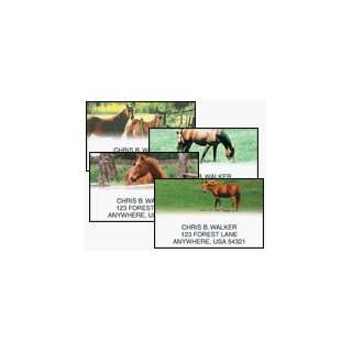 Horses Address Labels