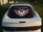 Firebird Trans Am LAST OF BREED decal 2 colors