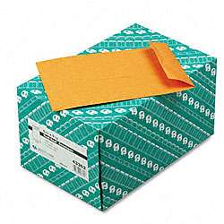 Redi Seal Catalog Envelopes   6.5 x 9.5 (250/Box)  