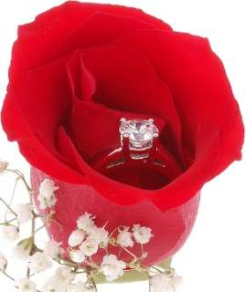 Diamond solitaire engagement ring in a red rose