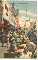 Old Postcard St. Petersburg Fla Green Benches Central A  