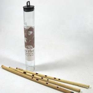    Reed Flutes From the Swamps of Belarus Musical Instruments