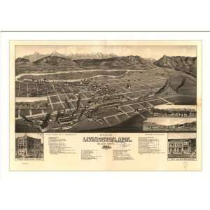 Historic Livingston, Montana, c. 1884 (L) Panoramic Map Poster Print 