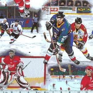  45 Wide Ice Hockey Game White Fabric By The Yard Arts 