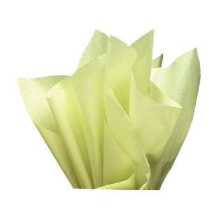   New Pistachio Light Green Mint Bulk Tissue Paper 20 x 26   48 Sheets