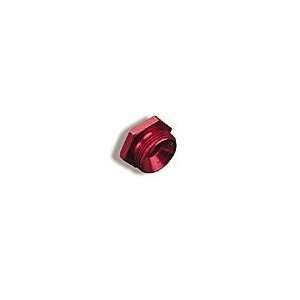    Holley Performance Products 26 76 FUEL INLET PLUG Automotive