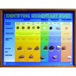 American Educational 2716 Identifying Sedimentary Rocks 