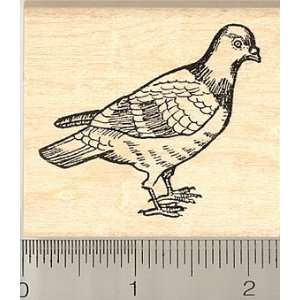  Pigeon Rubber Stamp   Wood Mounted Arts, Crafts & Sewing