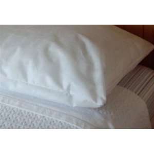 Bed Bug Pillow Cover