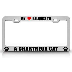  Cat Pet Auto License Plate Frame Tag Holder, Chrome/Black Automotive