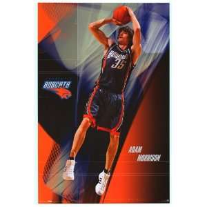  Adam Morrison   Charlotte Bobcats   Sports Poster   22 x 
