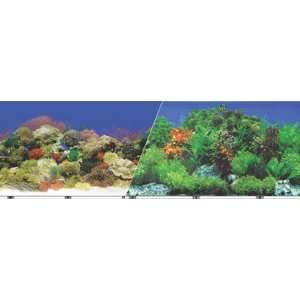   Background 12 Inch 50Ft Coral Reef & Fresh Water Garden