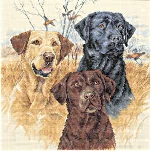  Dimensions Needlecrafts Counted Cross Stitch, Great 