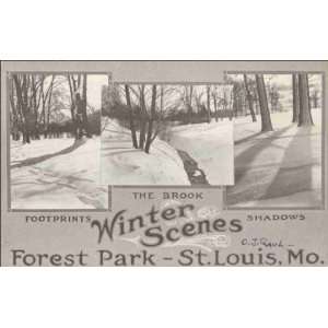   Reprint Winter Scenes, Forest Park   St. Louis, Mo  