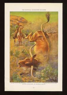 1925 Edward Herbert Miner Cowboy Ropes Texas Longhorn Color Print