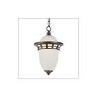 transglobe lighting outdoor 15 hanging lantern finish antique pewter
