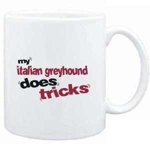  Mug White  MY Italian Greyhound DOES TRICKS  Dogs