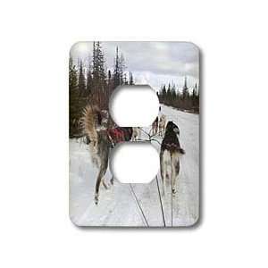 Kike Calvo Arctic   Arctic Sledding Dogs, Churchill Manitoba Canada 