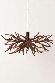 Ramus Chandelier   Anthropologie