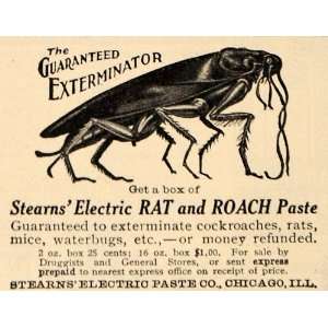   Paste Bug Exterminator Roach   Original Print Ad