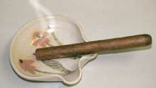   burning cigar on the Max Professional™ #6051 Smoke Eliminator page