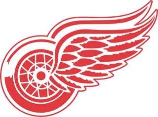 NHL Detroit Red Wings Iron On Transfer #1  
