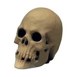  Skull Table Decoration Halloween Decorations and Spooky 