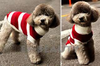 Red White Stripe Pet Dog Clothes Apparel Warm Coat Sweater Outfits 