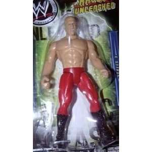  WWE Havoc Unleashed Action Figure Series 3   Kane Toys 
