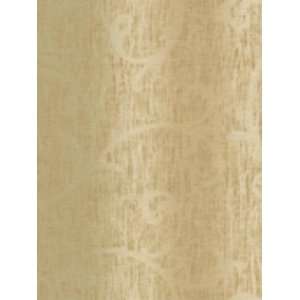  Wallpaper York Calypso Wood Cut Scroll FP2640