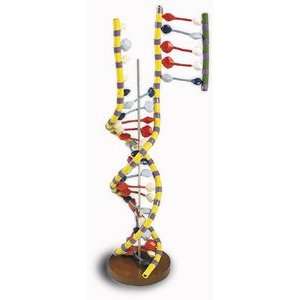 DNA Double Helix  Industrial & Scientific