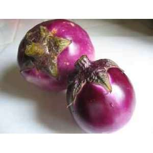  Thai Bright Round Purple Eggplant Seeds