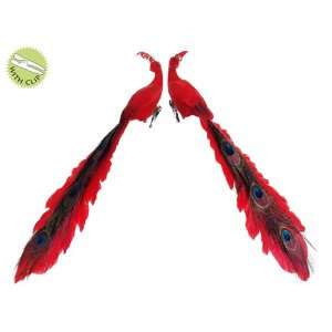  15 Peacock w/Clip (2 ea./Set) Red (Pack of 6)