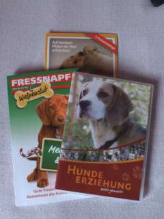 Hunde Welpen  starter  set in Bayern   Hof  Hunde & Zubehör   