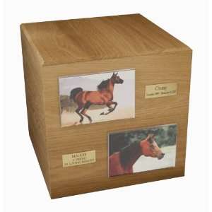  Full Size Horse Cremation Photo Urn   Large Patio, Lawn 