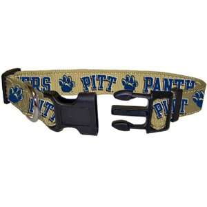  Pittsburgh Panthers Gold Medium Dog Collar Sports 
