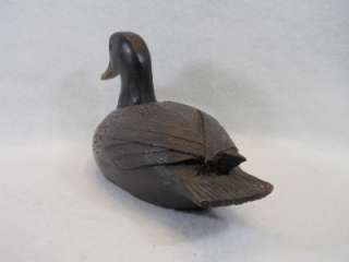 Black Duck Decoy Unknown Carver Possibly from Quebec Region Canada 