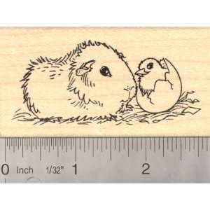  Guinea Pig with Hatching Chick, Easter Rubber Stamp Arts 