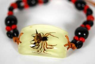 BUG BRACELET SPINY SPIDER Glow in Dark Real Insect NIB  