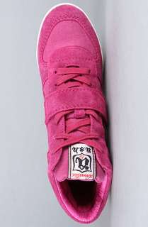 Ash Shoes The Bowie Sneaker in Fuxia Suede and Washed Canvas 