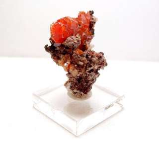 Wulfenite Mineral Specimen Red Cloud Mine HS WoW  