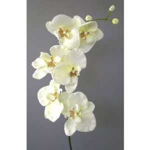 Kunstblume Orchideenzweig 78cm. Farbe weiß CREME  Küche 