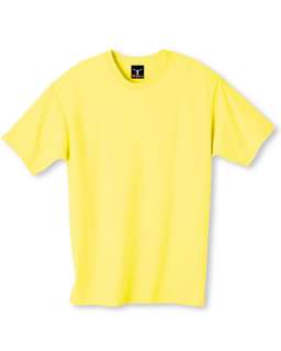 Hanes Heavy Beefy T Adult Plain Light Color T Shirt  