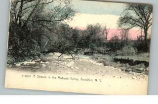 FRANKFORT NY Mohawk Valley Stream c1910 Postcard  