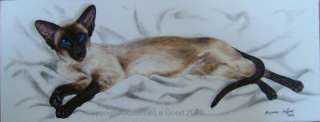 Lazy Days  acrylic on canvas (Sealpoint Siamese)