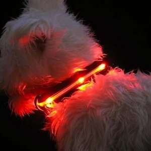  LED Lighted Dog Collars