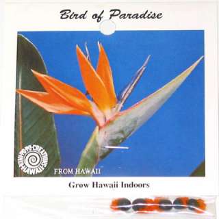 89 combined shipping available 1 20 pks bird of paradise seeds $ 5 