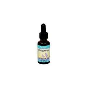 Herbs For Kids Echinacea Astraglus Blend (1x1 OZ BTL)